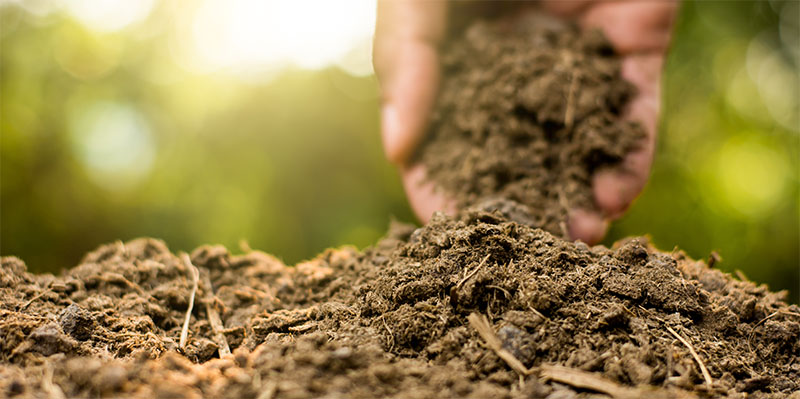 Bio déchet header