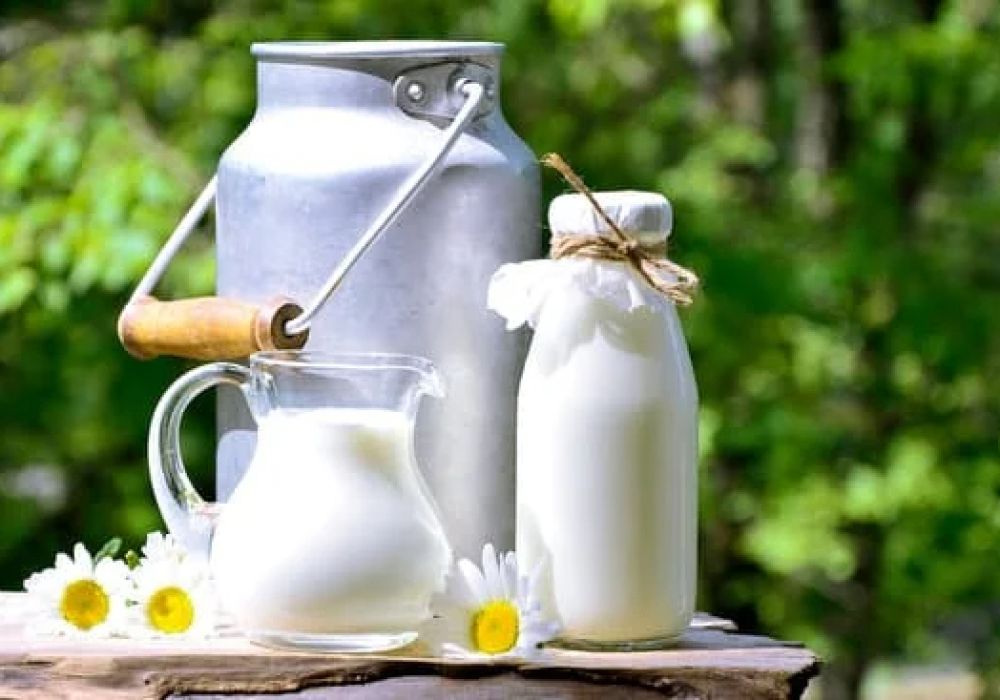Lait