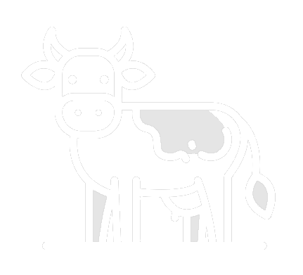 Vache
