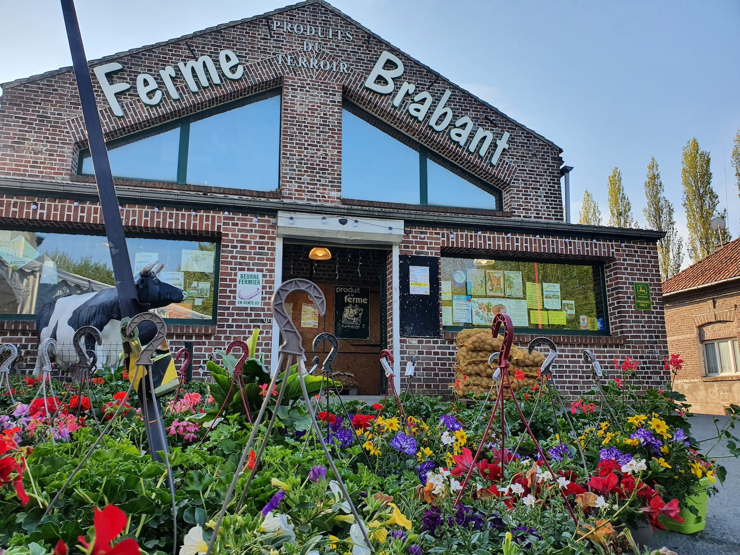 Ferme BRABANT 1