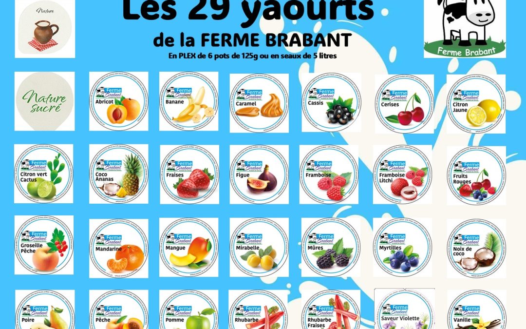 LES YAOURTS DE LA FERME BRABANT
